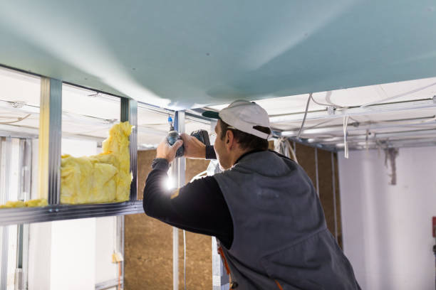 Best Energy Efficiency Insulation in Holly Hill, FL