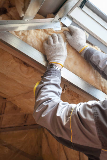 Best Residential Insulation in Holly Hill, FL