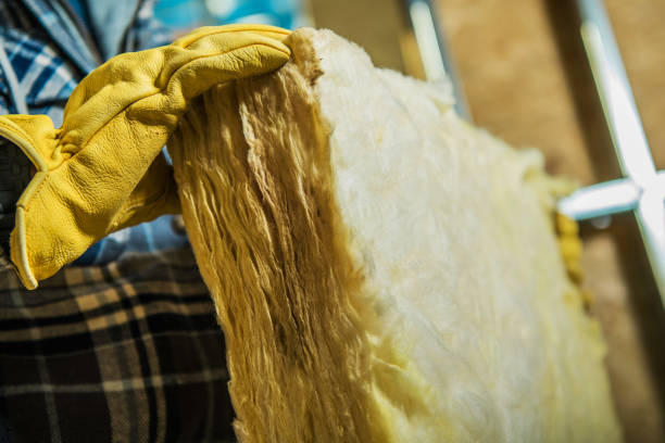 Best DIY Insulation Kits and Guidance in Holly Hill, FL