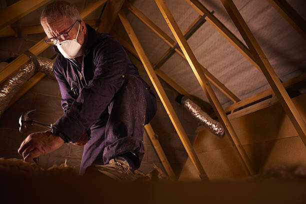 Best Commercial Insulation in Holly Hill, FL