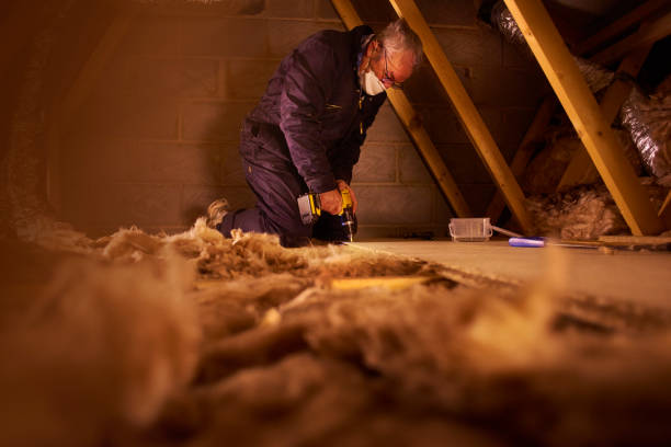 Best Insulation for Specific Applications in Holly Hill, FL